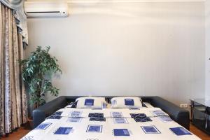 Apartments on Besarabka