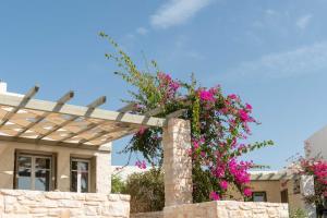 Stagones Luxury Villas Paros Greece