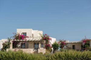 Stagones Luxury Villas Paros Greece