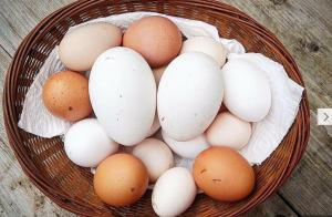 Agriturismo Il Paradiso img40