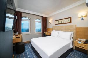 Standard Room with Sea View - Non-Smoking room in Radisson Hotel Istanbul Sultanahmet