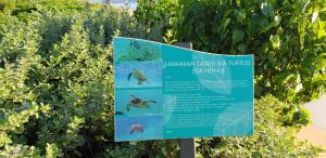 Honua Kai - Konea 314