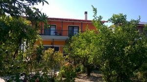 Orange Tree Garden Halkidiki Greece