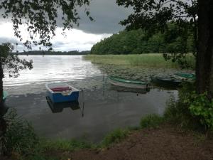 Cudodomek na Mazurach w Woszczelach koło Ełku