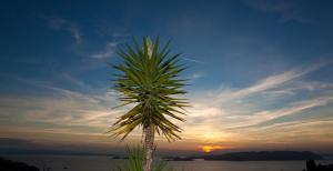 Villa Malena Skopelos Greece