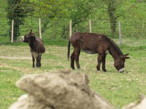 Sejours chez l'habitant Domaine des fees : photos des chambres