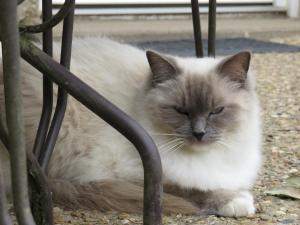 Sejours chez l'habitant Domaine des fees : photos des chambres