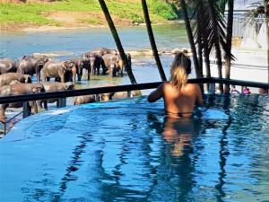 Hotel Elephant Park - Most Elephant Bathing View Rooms in Pinnawala