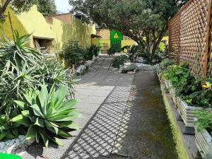 Artistika Golden Apartment img76