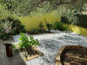 Artistika Golden Apartment img72