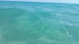 Artistika Golden Apartment img14