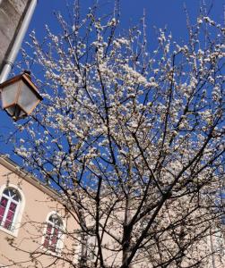 Maisons d'hotes 5 Chambres en Ville : photos des chambres