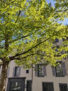 Maisons d'hotes 5 Chambres en Ville : photos des chambres