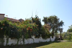 Beach Housethe Green!