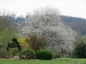 Maisons d'hotes Ecrin de Verdure : photos des chambres