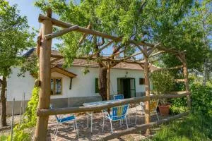 Berkenye-lak - 鲍洛托瑙考利