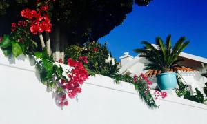 Appart'hotels Les Lilas : photos des chambres