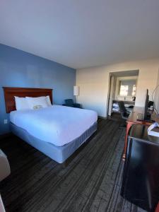 Standard Queen Room room in Hotel South Tampa & Suites