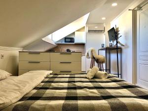 Studio Apartment room in Nordian