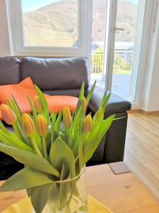 Bernkasteler Moselapartments