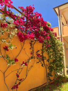 Residence Corte Dei Venti img21