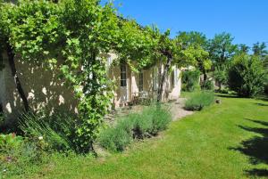 Maisons de vacances Maison des Vignes : photos des chambres