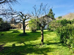 Maisons de vacances Maison des Vignes : photos des chambres