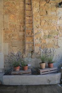 B&B / Chambres d'hotes Les Yourtes de Provence : photos des chambres