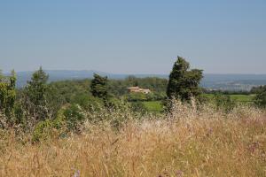 B&B / Chambres d'hotes Les Yourtes de Provence : photos des chambres