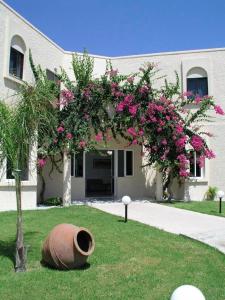 Summerland Hotel Rhodes Greece