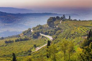 Valpolicella Homes Recioto Apartment
