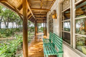 El Ballenato de Bahia #2