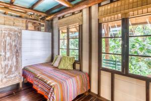 El Ballenato de Bahia #2