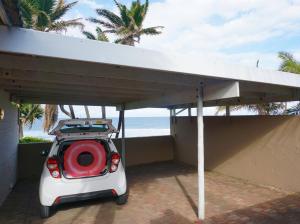 Southern Comfort - Periwinkle