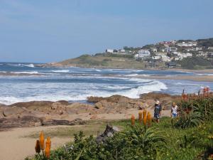 Southern Comfort - Periwinkle