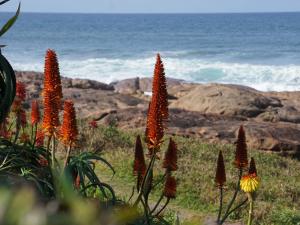 Southern Comfort - Periwinkle