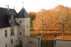 B&B / Chambres d'hotes Chateau de Bois Charmant : photos des chambres