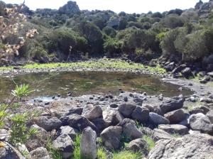 B & B Il Mirto 2 img31