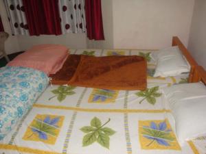 Dawa Luckys Homestay