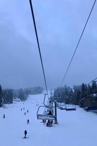 Superior Chalet room in Chalet Borzhava