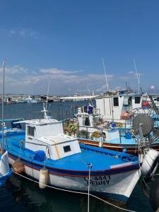 Ithaki Phinikoudes Apartment No. 207