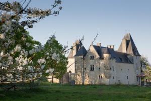 B&B / Chambres d'hotes Chateau de Bois Charmant : photos des chambres