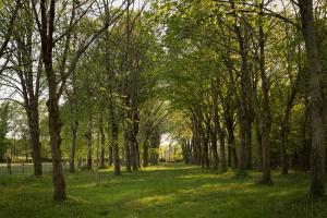 B&B / Chambres d'hotes Chateau de Bois Charmant : photos des chambres