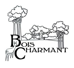 B&B / Chambres d'hotes Chateau de Bois Charmant : photos des chambres