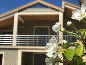 Villa Garden Shkodra