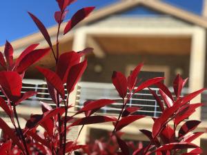 Villa Garden Shkodra