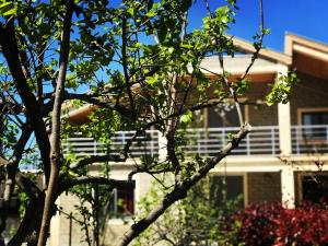 Villa Garden Shkodra