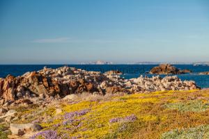 Villa Il Rosso di Tramonto img41