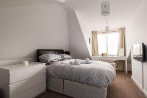 Elegant 2 Bedroom Apartment Near Stadium & Centre!