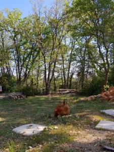 Maisons d'hotes Villa parpailloun, jardin, piscine chauffee : photos des chambres